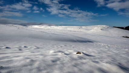 Paysage enneigé de montagne en hiver dans le massif du Vercors dans le département de la Drôme...
