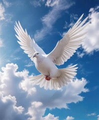 Fototapeta premium White pigeon in mid-air against a stunning blue sky with fluffy white clouds, fluffy white clouds, white pigeon