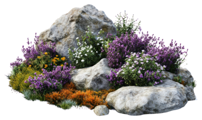 PNG Flowers rock purple nature.