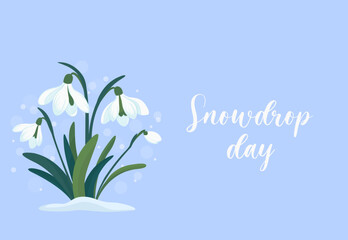 Flowers white snowdrops with leaves. Spring is coming. Snowdrop day. Vector illustration isolated on blue background 