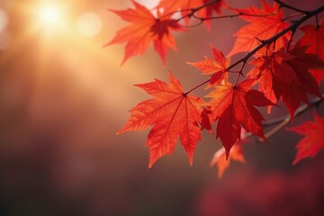 Delicate maple leaves rustle in gentle breeze, nature, branch
