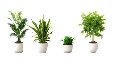 Collectionof diverse potted indoor plants in a row on transparent background