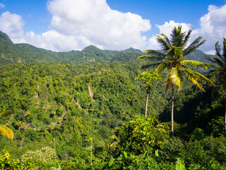 Caribbean, Lesser Antilles, St Lucia,  Anse La Verdure,