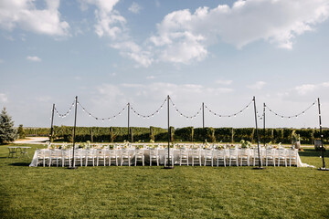 Fototapeta premium Elegant outdoor dining setting with a long banquet table, white chairs, fairy lights, lush greenery, and a vineyard backdrop.