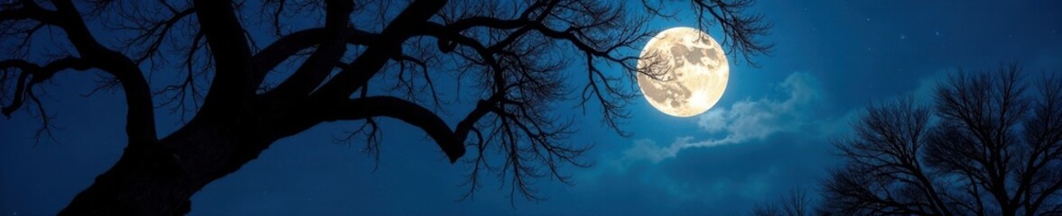 Curtains Full moon illumination of twisted tree branches, foliage, trees