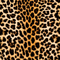 Fototapeta premium leopard, fur, fluffy background, dark real spots, leather texture, stylish design for fabric