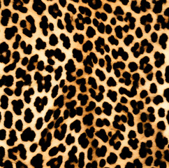Fototapeta premium leopard, fur, fluffy background, dark real spots, leather texture, stylish design for fabric
