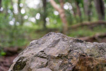 rock pedestal for a product display stand, green forest and blurred on the background