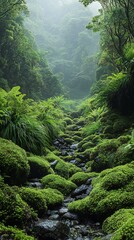 Naklejka premium HD Phone Wallpaper Lush Green Rainforest Landscape Mossy Creek Tropical Plants Tranquil Nature Scene