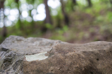 rock pedestal for a product display stand, green forest and blurred on the background
