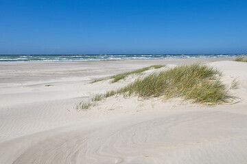 Blick auf einen menschenleeren Nordseestrand in Dänemark im Sommer