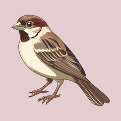 A cute little sparrow vector illustration 