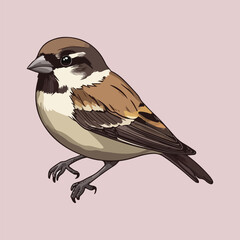 A cute little sparrow vector illustration 
