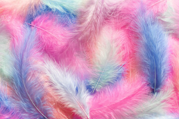 Background with feathers in pastel colors. Selective focus.