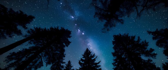 Obraz premium Captivating closeup of a starry night sky with a silhouette of trees below evoking feelings of wonder and the vastness of the universe