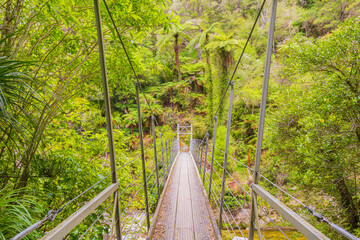 Swing Bridge in Abel Tasman NP
