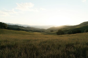Tranquil Meadow Panorama