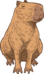 hand drawn cartoon of capybara illustration.