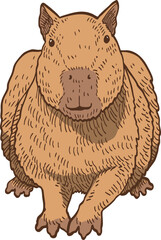 hand drawn cartoon of capybara illustration.
