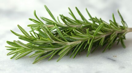 Fresh sprigs of rosemary rest on a marble surface