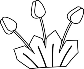 Flower Bush Outline Coloring
