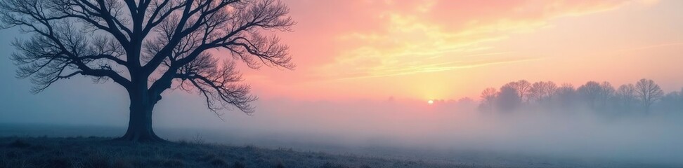 Bare tree branches stretching towards misty sky, landscape, sky