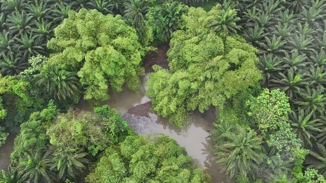 Sao Tome and Principe - Lighthouse at Ilheu das Rolas. Scenic Aerial View of a Historic Beacon Surrounded by Lush Tropical Forest.