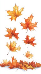 Fototapeta premium Vertical image of autumn leaves falling, detailed illustration style, showing multiple maple leaves in various stages of descent, against a white