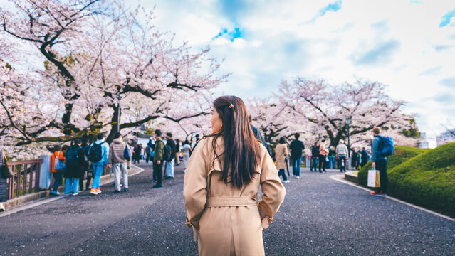 Traveler asian woman travel in sakura cherry blossom tree in Chidorigafuchi park Tokyo Japan in spring season