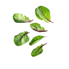 Fototapeta premium Fresh green spinach leaves on black background