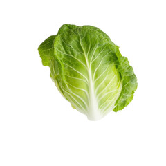 Obraz premium Fresh green lettuce on black background