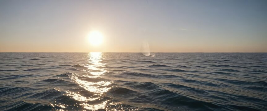 Sunlight dancing on the surface of the ocean below parasailer, sailer, vibrant, reflection