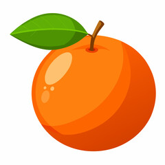 orange fruit vector illustration