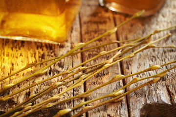 Young willow branches with buds with a bottle of gemmotherapeutic herbal tincture