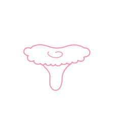 Hand-Drawn Mushroom Illustration

