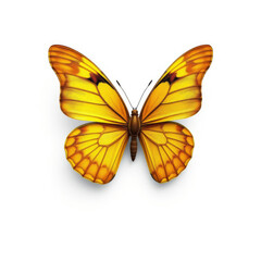 Fototapeta premium Butterfly with unique yellow and beige markings, decoratively, markings, vibrant colors
