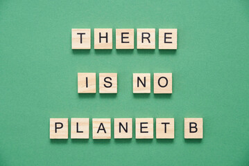 Ecologic message: Wooden pieces with letters form the text There is no planet B