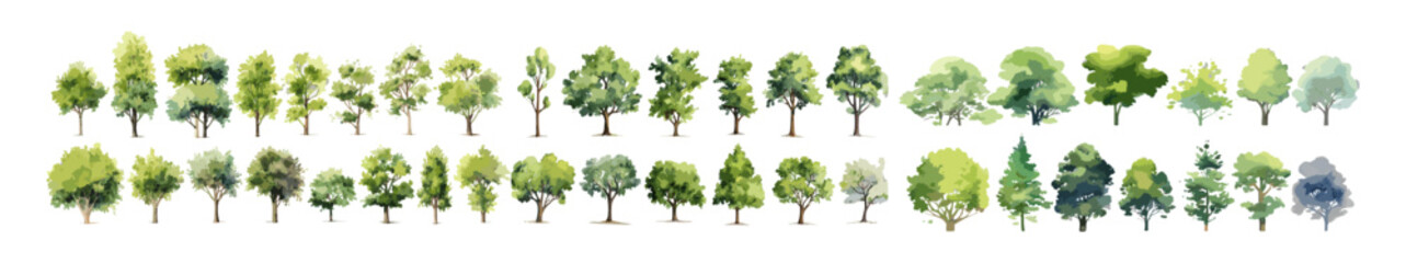 Watercolor trees, summer spring tree collection, hand-drawn for landscape and architecture, vector tree top illustration, isolated on white background, environment design, garden planning.