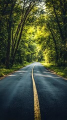 Fototapeta premium A straight road flanked by tall trees, leading to the horizon in bright daylight 
