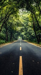 Obraz premium A straight road flanked by tall trees, leading to the horizon in bright daylight 
