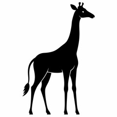 Black Giraffe Silhouette Vector Graphic
