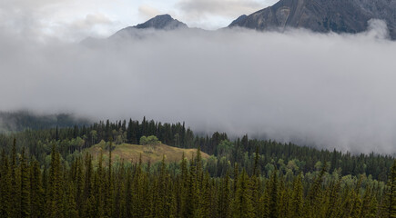 Fototapeta premium Scenic view of a forest and clearing under low clouds with towering rocky mountains 