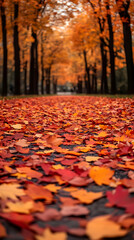 Autumn Path: Red And Orange Leaves Covering Pathway Through Colorful Trees