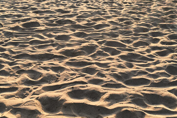 Footprints and natural patterns are etched into the warm sand on a serene beach during sunset. The gentle light creates a golden hue, perfect for a peaceful evening.