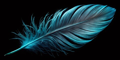 Fototapeta premium Elegant Black Feather: Isolated Macro Shot with Dramatic Lighting for Design Projects