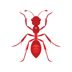 Ant Head Vector Illustration on White Background | High-Quality Insect Clipart