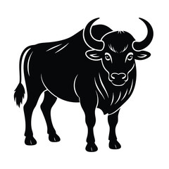 bull isolated on white