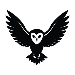 owl isolated on white