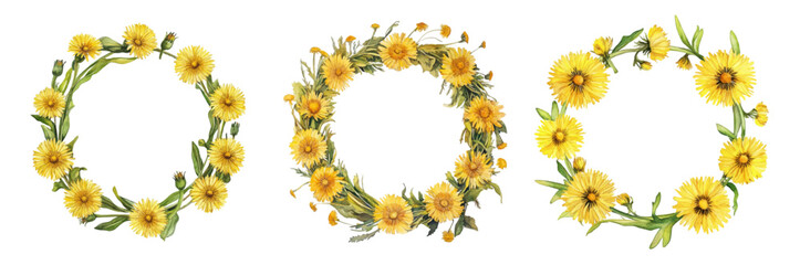Set of wreaths of yellow dandelion flowers on a white background. Wreath of spring dandelion flowers. Concept of May and the beginning of summer. Vector illustration.