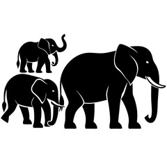 Fototapeta premium elephant